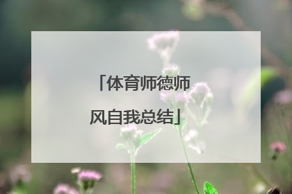 体育师德师风自我总结