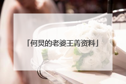 何炅的老婆王菁资料