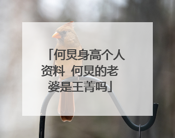 何炅身高个人资料 何炅的老婆是王菁吗