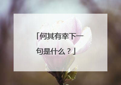 何其有幸下一句是什么？