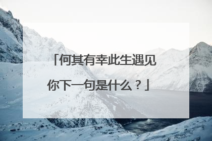 何其有幸此生遇见你下一句是什么？