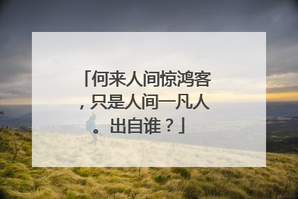 何来人间惊鸿客,只是人间一凡人。出自谁?