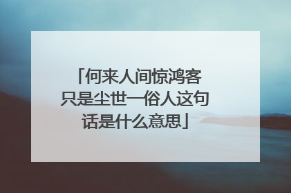 何来人间惊鸿客 只是尘世一俗人这句话是什么意思