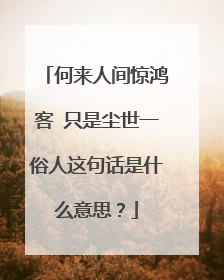 何来人间惊鸿客 只是尘世一俗人这句话是什么意思?
