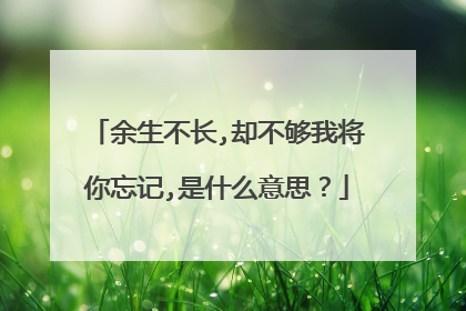 余生不长,却不够我将你忘记,是什么意思？
