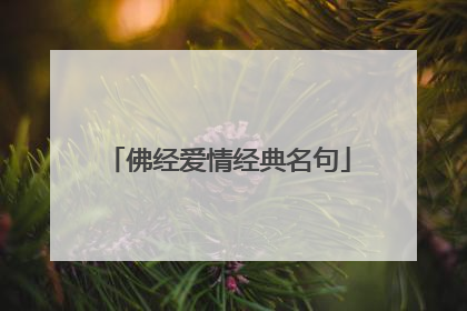 佛经爱情经典名句