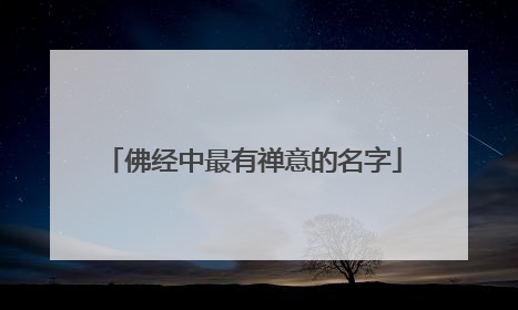 佛经中最有禅意的名字