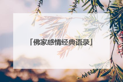 佛家感情经典语录