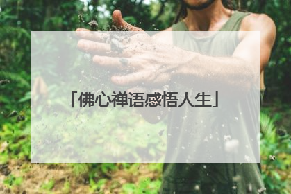 佛心禅语感悟人生