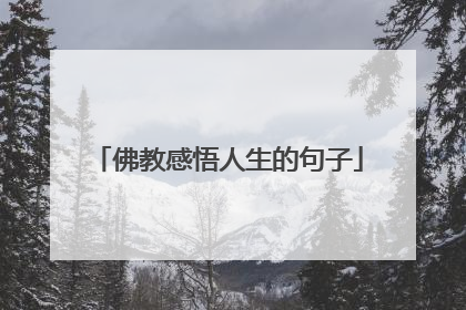 佛教感悟人生的句子