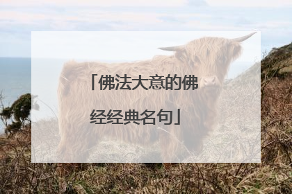 佛法大意的佛经经典名句