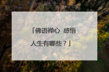 佛语禅心 感悟人生有哪些？