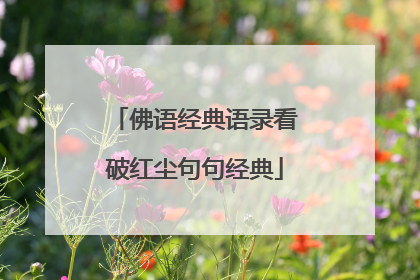 佛语经典语录看破红尘句句经典