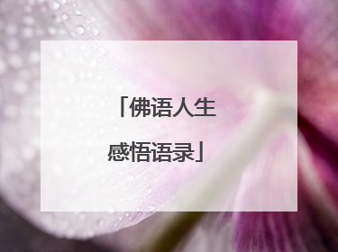 佛语人生感悟语录
