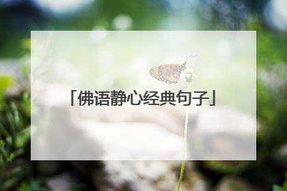 佛语静心经典句子