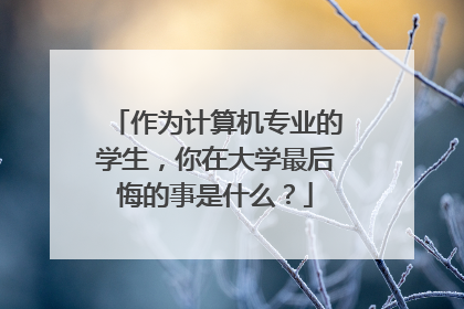 作为计算机专业的学生，你在大学最后悔的事是什么？
