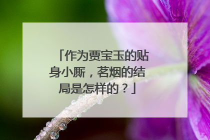 作为贾宝玉的贴身小厮，茗烟的结局是怎样的？