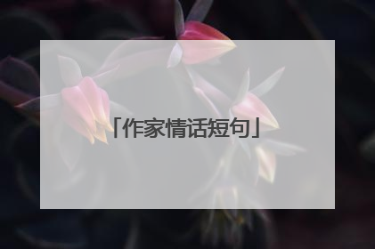 作家情话短句