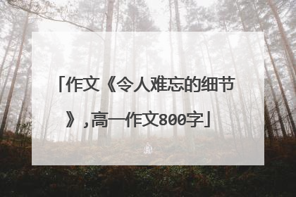 作文《令人难忘的细节》,高一作文800字