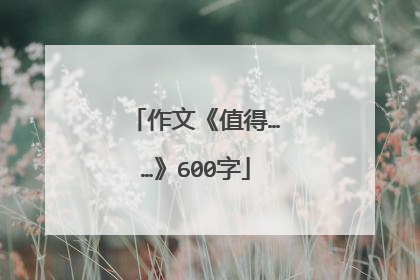 作文《值得……》600字