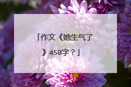 作文《她生气了》450字？