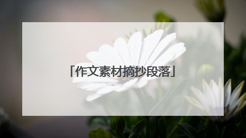 作文素材摘抄段落