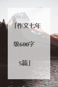 作文七年级600字5篇