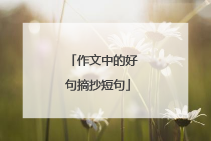 作文中的好句摘抄短句