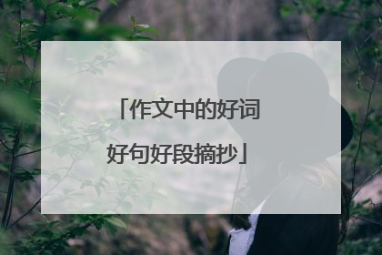 作文中的好词好句好段摘抄