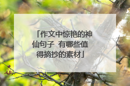 作文中惊艳的神仙句子 有哪些值得摘抄的素材