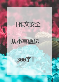 作文安全从小事做起300字