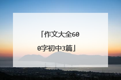 作文大全600字初中3篇