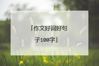 作文好词好句子100字