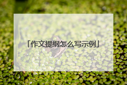 作文提纲怎么写示例