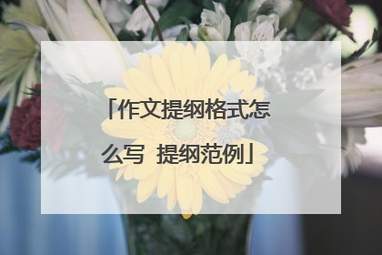 作文提纲格式怎么写 提纲范例