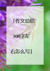 作文总结300字左右怎么写