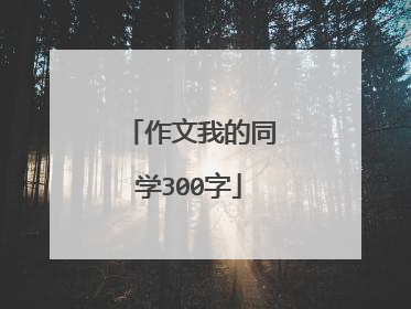 作文我的同学300字