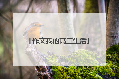 作文我的高三生活