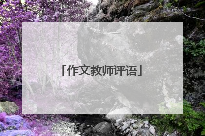 作文教师评语