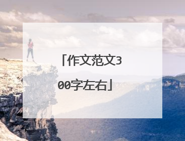 作文范文300字左右
