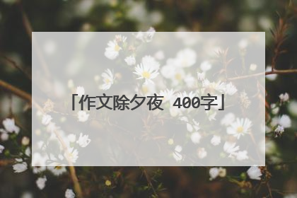 作文除夕夜 400字
