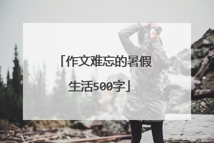 作文难忘的暑假生活500字