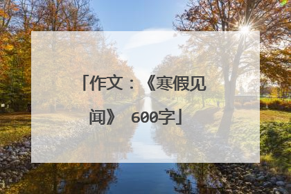 作文：《寒假见闻》 600字