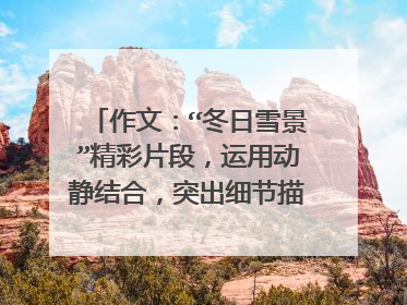 作文：“冬日雪景”精彩片段，运用动静结合，突出细节描写，100以上