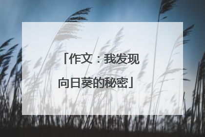 作文：我发现向日葵的秘密