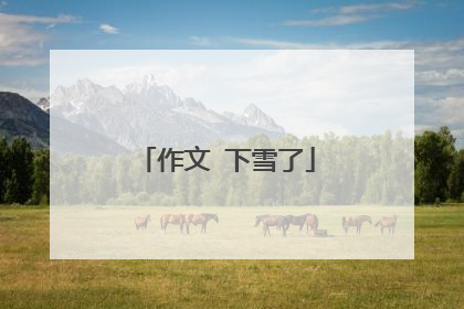 作文 下雪了
