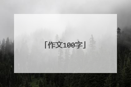 作文100字