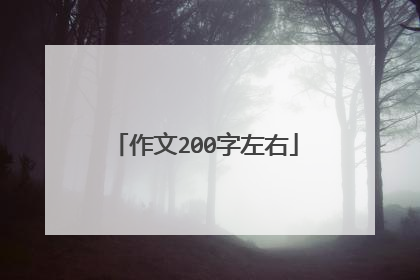 作文200字左右