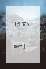 作文500字