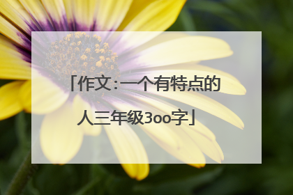 作文:一个有特点的人三年级3oo字